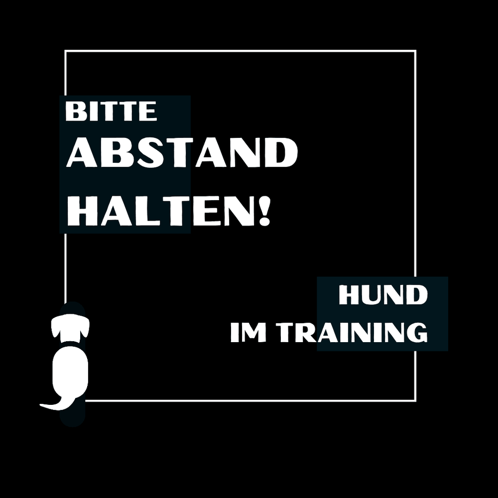 T-Shirt mit der Aufschrift "Abstand halten, Hund im Training" für Hundehalter, ideal für Spaziergänge und Trainingseinheiten.