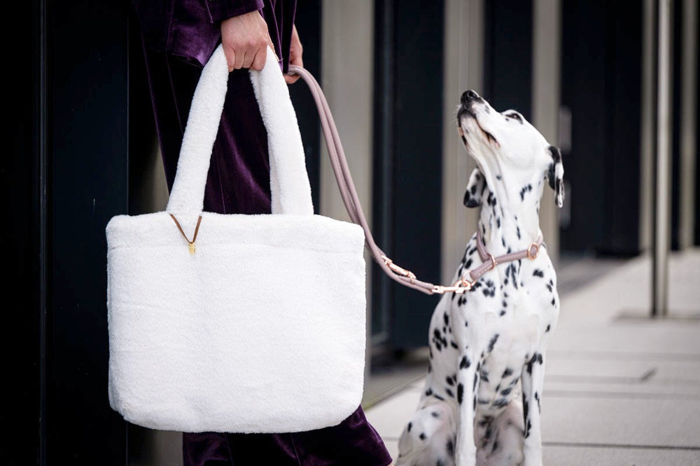 Person mit weißer, flauschiger Handtasche und aufmerksamem Dalmatiner in modischer urbaner Szene.