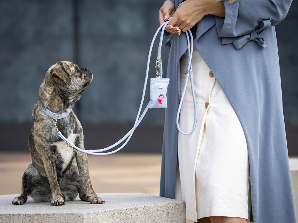 Eine Person im blauen Mantel führt einen kleinen braunen Hund mit einem Halsband auf einer Betonfläche.