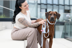 Frau mit langen, schwarzen Haaren streichelt freundlichen braunen Hund in moderner Umgebung.