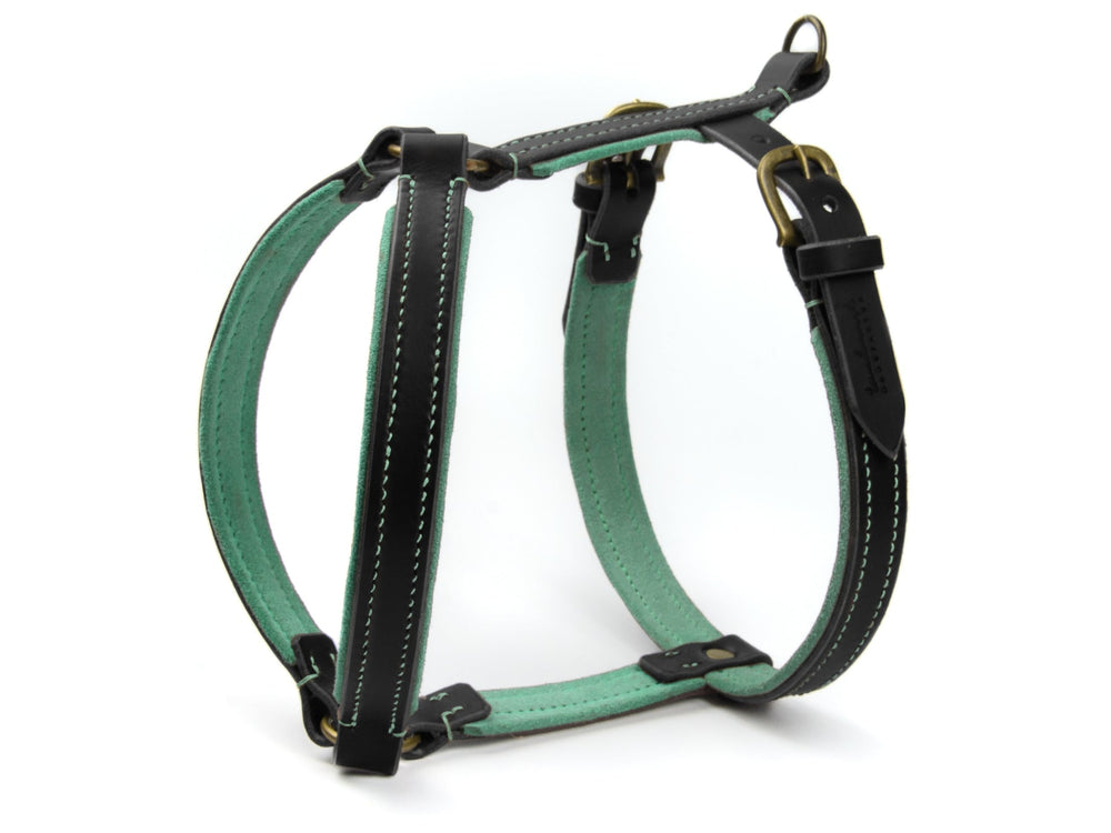 Schwarzes Ledergeschirr WILDFANG für Hunde mit grünem Innenfutter und weißen Nähten, verstellbar und mit Metall-Schnallen.