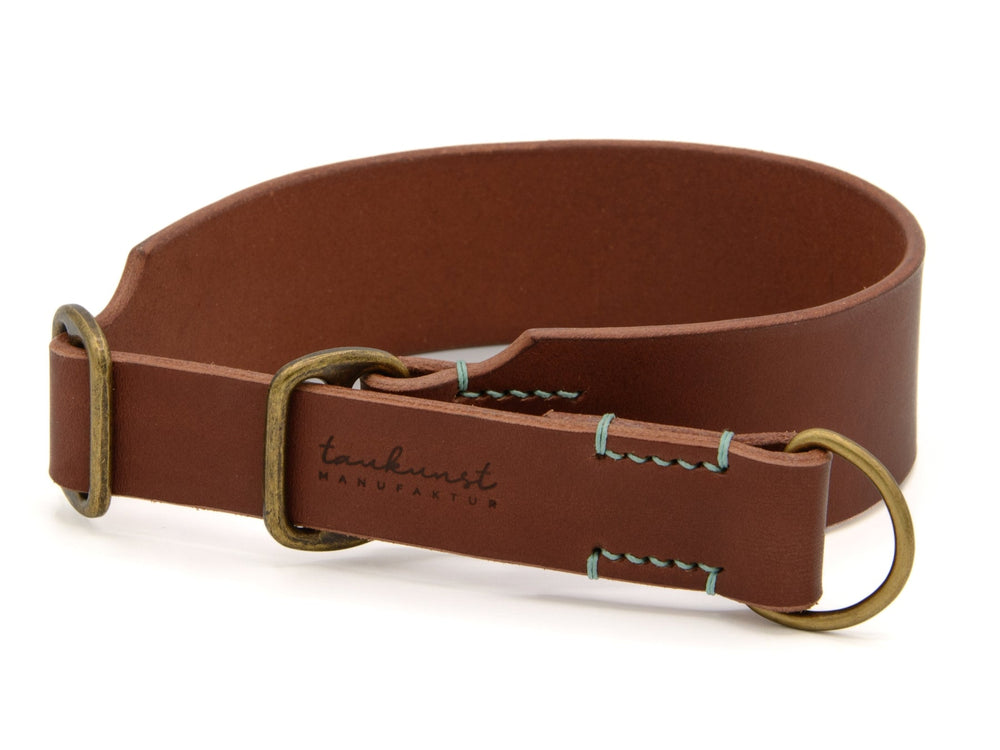 Robustes braunes Lederhalsband mit blauer Naht und D-Ringen für Hunde, ideal für Spaziergänge im Freien.