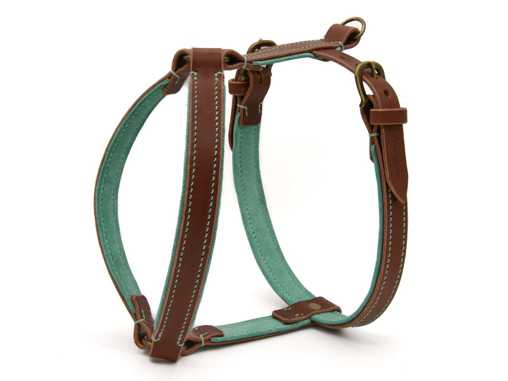 Braunes und türkisfarbenes Hundegeschirr aus Leder mit gepolsterten Riemen und metallischen Befestigungen.