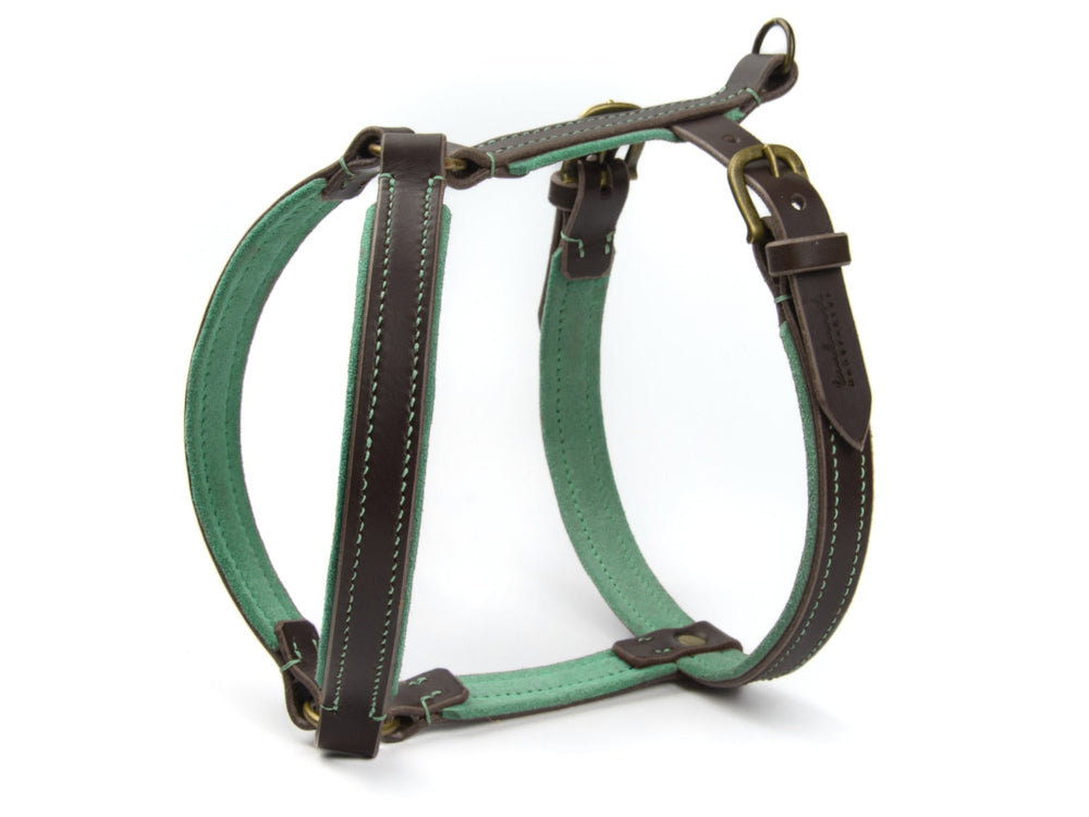 Braunes Ledergeschirr WILDFANG für Hunde mit mintgrünen Innenseiten und eleganten Metallschnallen.