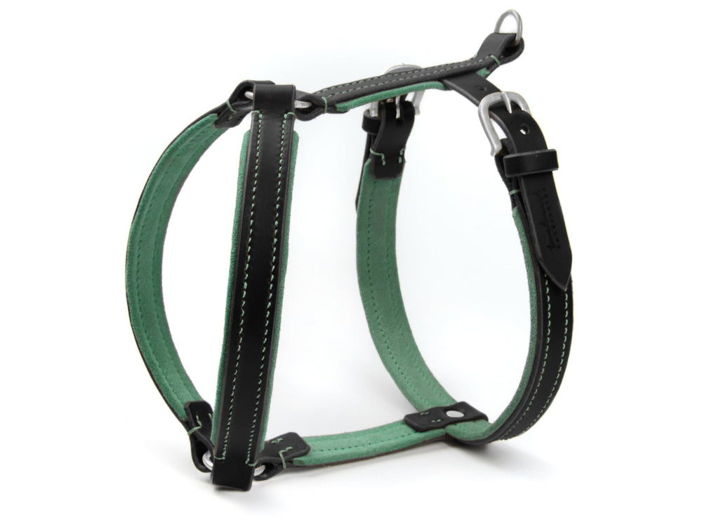 Hundegeschirr WILDFANG aus Leder in Schwarz und Mintgrün mit stabilen Riemen und robusten Metallbeschlägen.