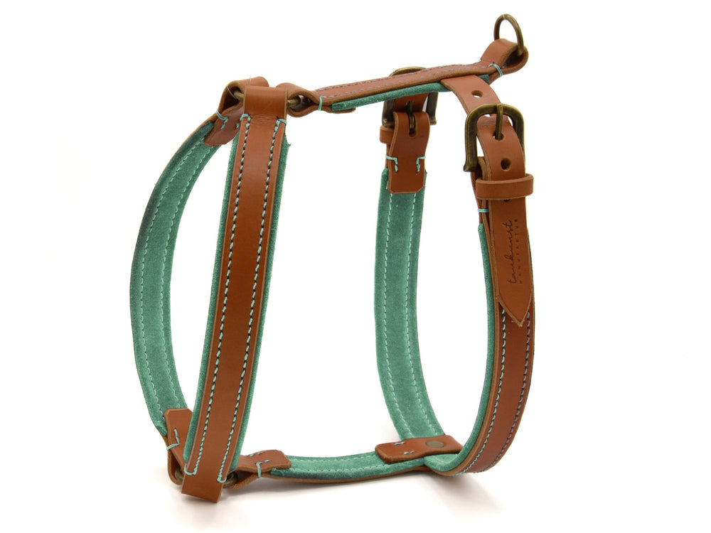 Braunes Ledergeschirr WILDFANG für Hunde mit hellblauen Textil-Details und verstellbaren, gepolsterten Gurten.