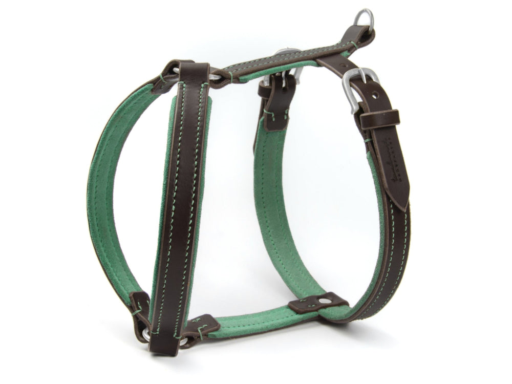 Braunes Ledergeschirr WILDFANG für Hunde mit teal-farbenem Innenfutter und robusten verstellbaren Schnallen.