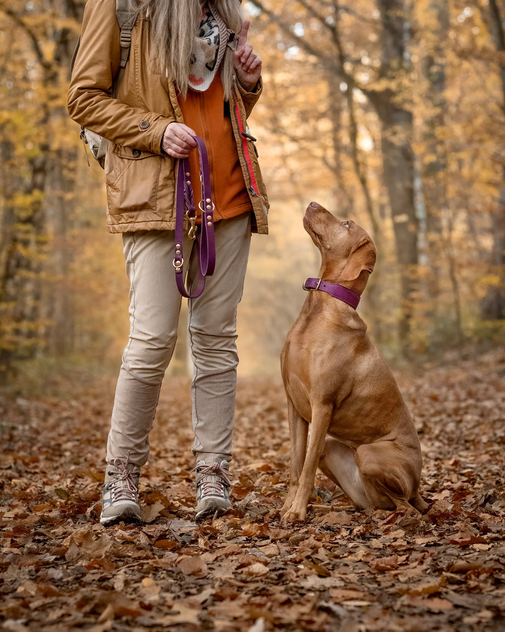 Person mit Labrador-Hund im herbstlichen Wald, trägt bequeme Jacke und hält eine Hundeleine. Halsband Mono Pop Herbst Edition sichtbar.