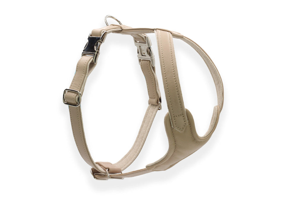 Beiges Ledergeschirr für Hunde mit verstellbaren Riemen und robusten Metallsteckschlössern.