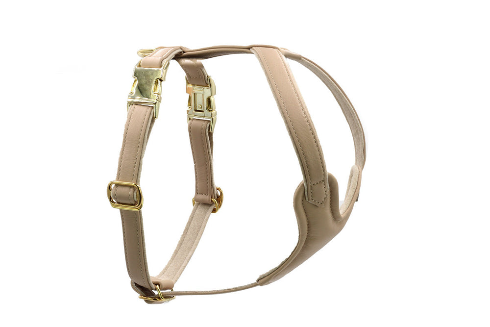 Beiges Hundegeschirr aus Kunstleder mit goldenen Schnallen und verstellbarem Riemen, schlichtes und funktionales Design.