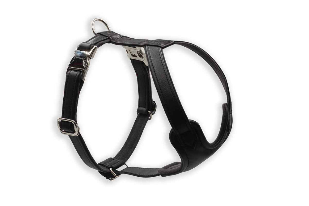 Schwarzes, verstellbares Hundegeschirr aus Leder mit D-Ring und Schnalle für einfaches Anlegen.