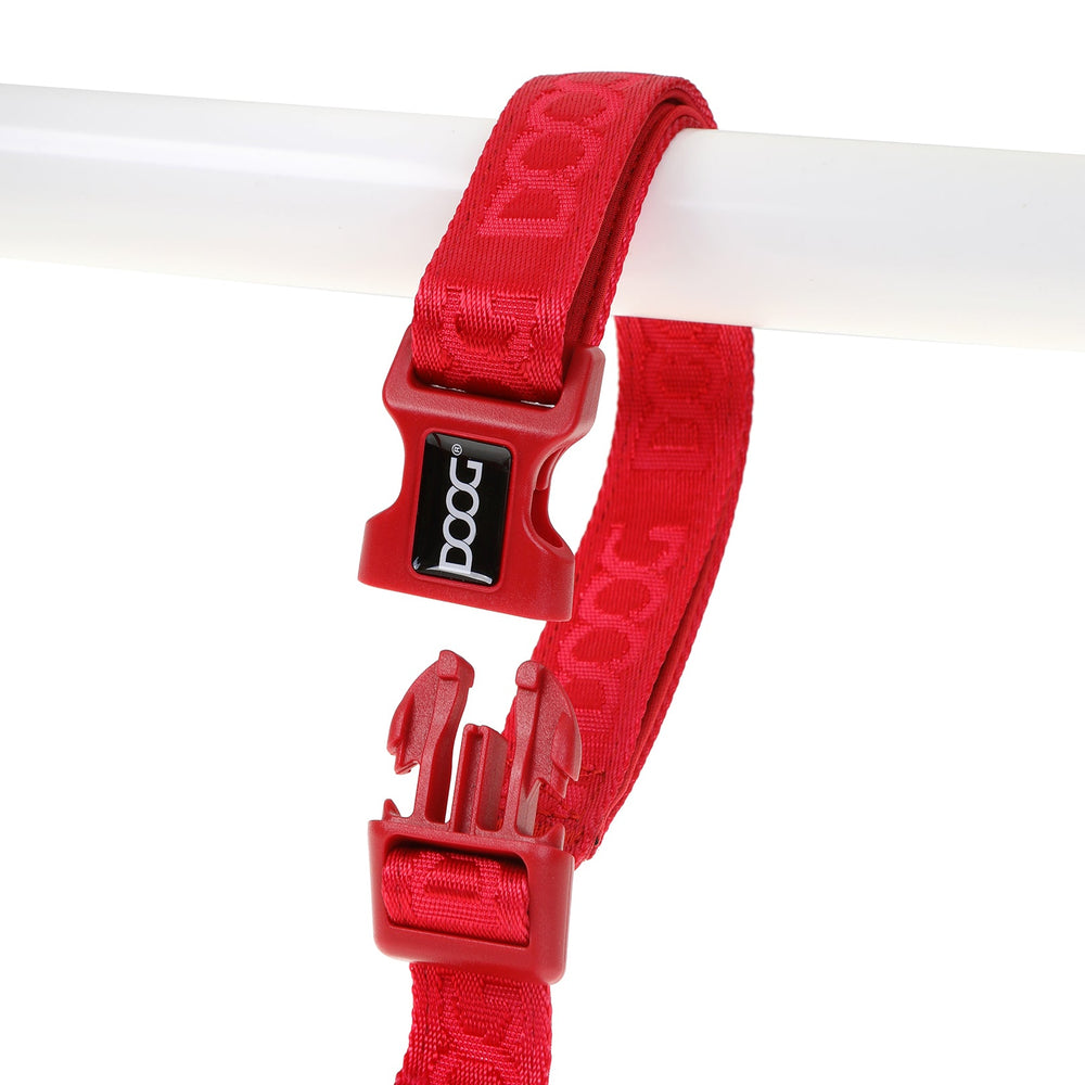 Rotes, gepolstertes Hundehalsband mit Kunststoffschnalle und Markenlogo "pog", angehängt an einem weißen Stab.