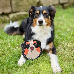 Schwarzer, brauner und weißer Hund auf dem Rasen mit einem orange-braunen Tiergesicht-Spielzeug vor sich.