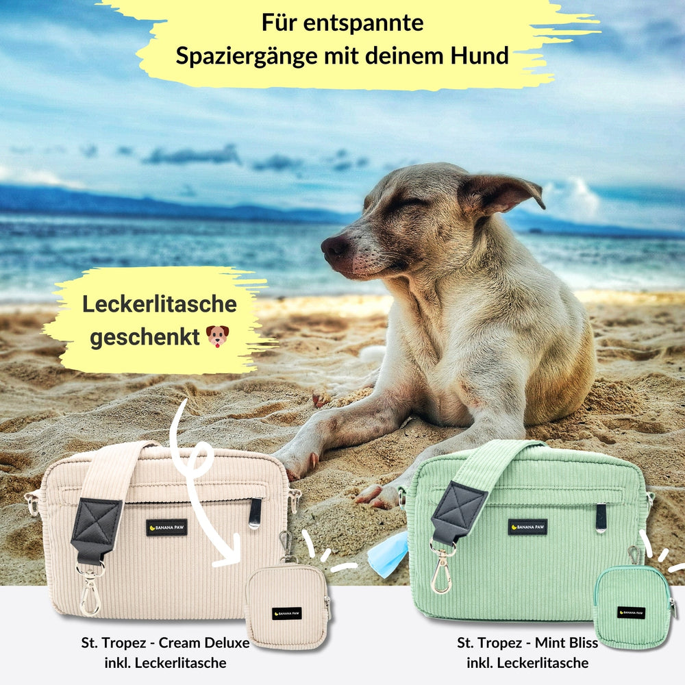 Gassitasche Cord + Leckerlitasche (Mint Bliss)
