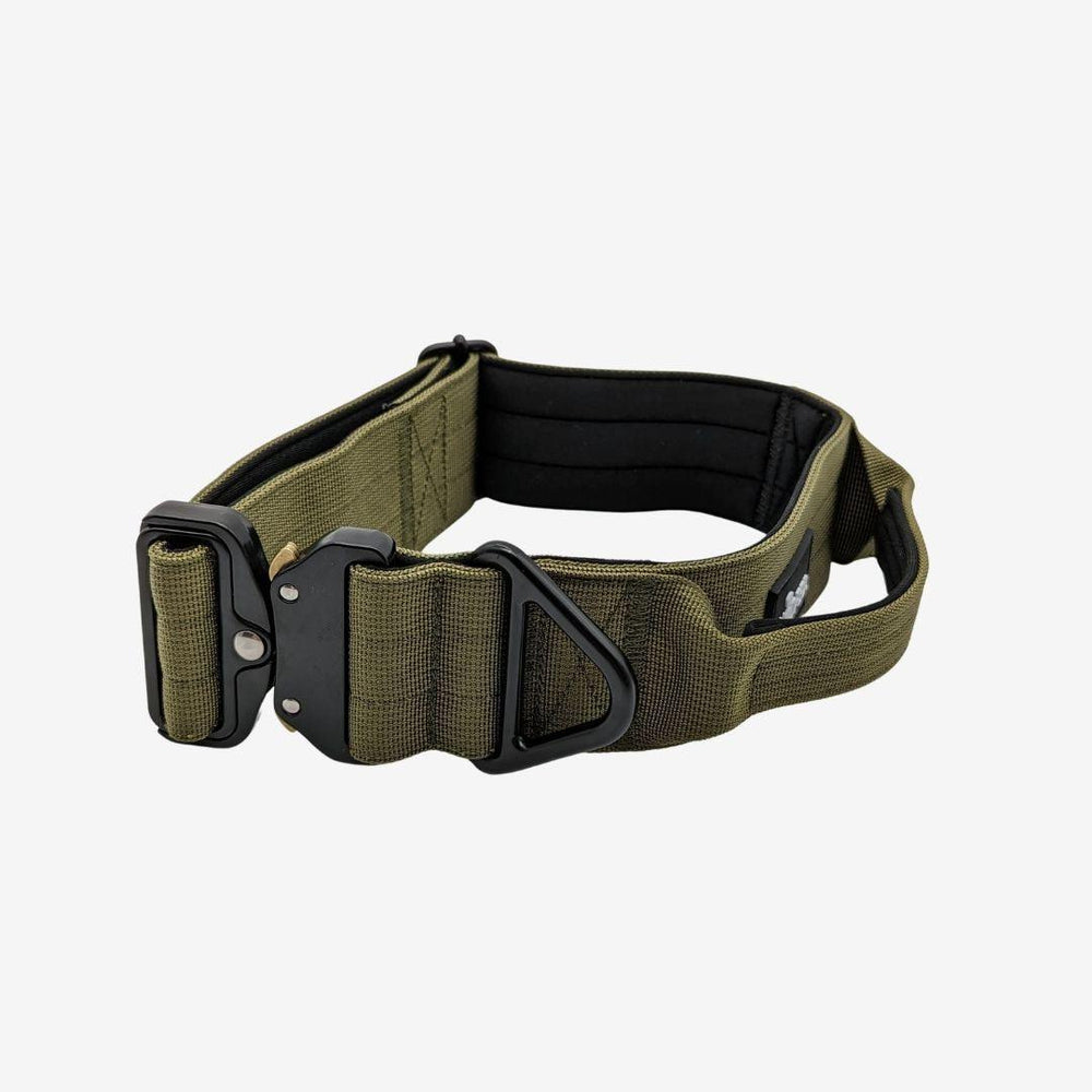 Taktisches Nylon Halsband in olivgrün mit Griff, stabiler Schnalle und D-Ring für maximale Sicherheit und Komfort für Hunde.
