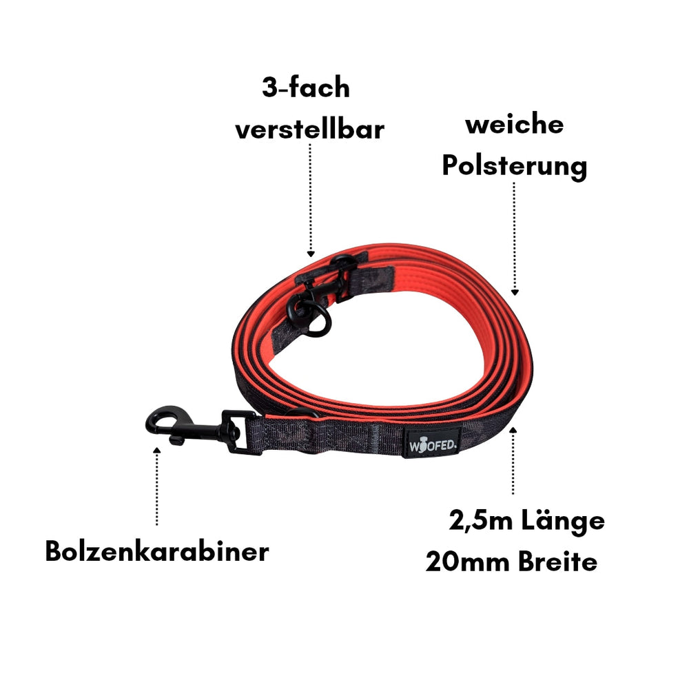 Rote und schwarze Nylon Classic Hundeleine, 2,5m lang, 20mm breit, 3-fach verstellbar und mit weicher Polsterung.