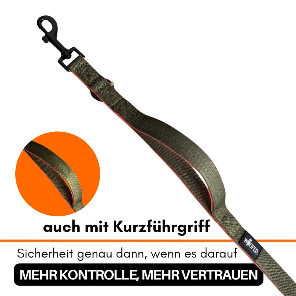 Grüne Nylon Classic Führleine mit Kurzführergriff, bietet Sicherheit und Kontrolle für Hundebesitzer.