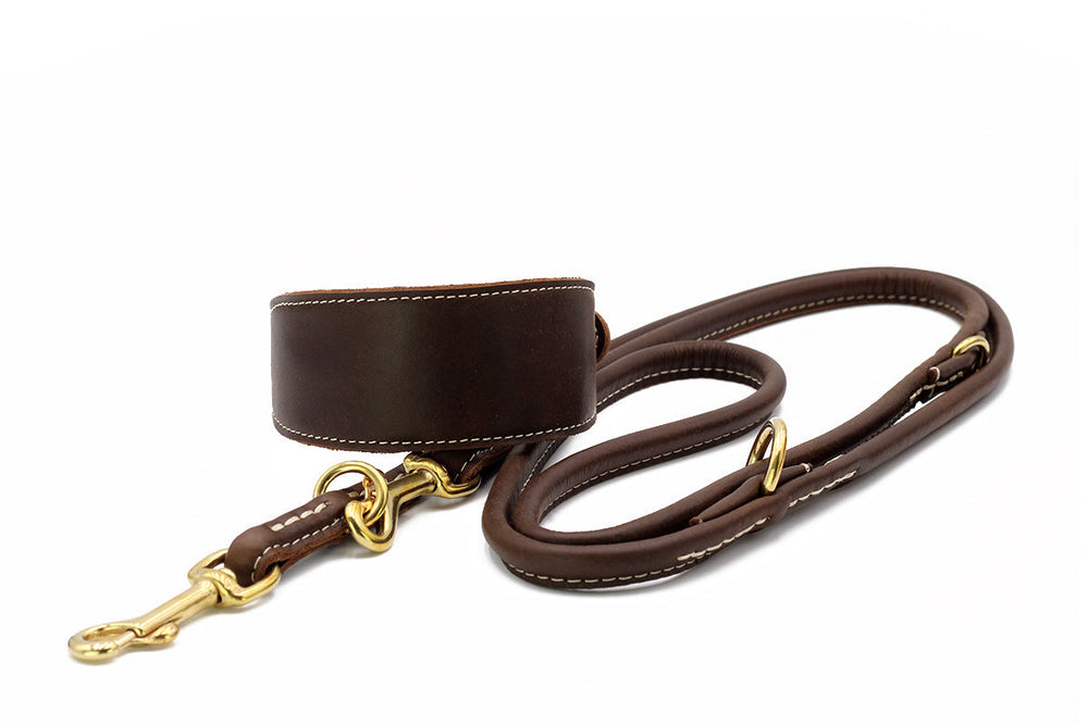 Braunes Lederhalsband für Windhunde mit goldener Klammer und weißen Nähten, elegant und funktional.