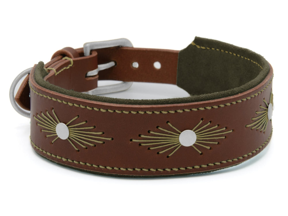 Braunes Lederhundehalsband WOODSTOCK mit goldfarbener Stickerei und silbernen Verzierungen, grüne Innenseite und polierte Schnalle.
