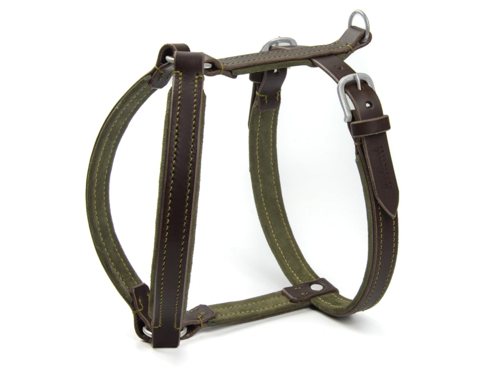 Hundegeschirr WILDFANG aus grünem und braunem Leder mit gelben Nähten und Metallringen für sicheren Halt.