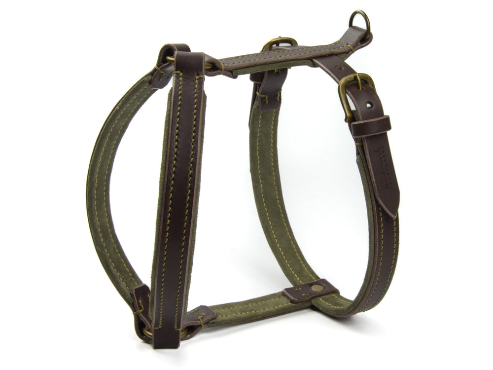 Hundegeschirr WILDFANG in olivgrün mit braunen Lederakzenten und goldfarbener Hardware für optimale Stabilität und Stil.