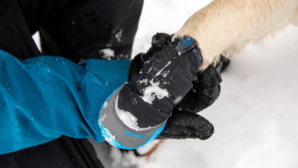 Person in Winterkleidung hält Hund mit grauen und schwarzen Polar Trex™ Hundeschuhen im Schnee.