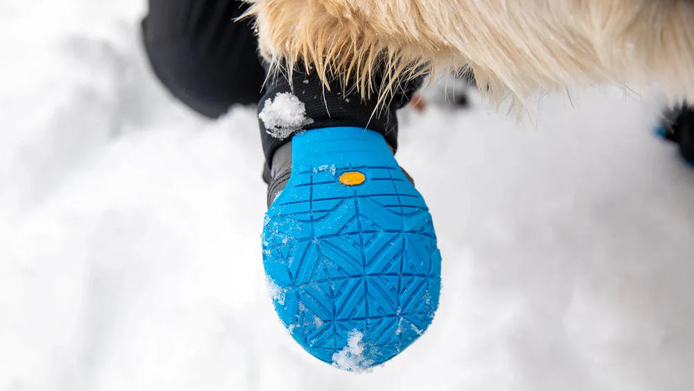 Unterseite des Polar Trex™ Winter Hundeschuhs mit blauer Sohle in schneebedeckter Umgebung und Schneeflocken.