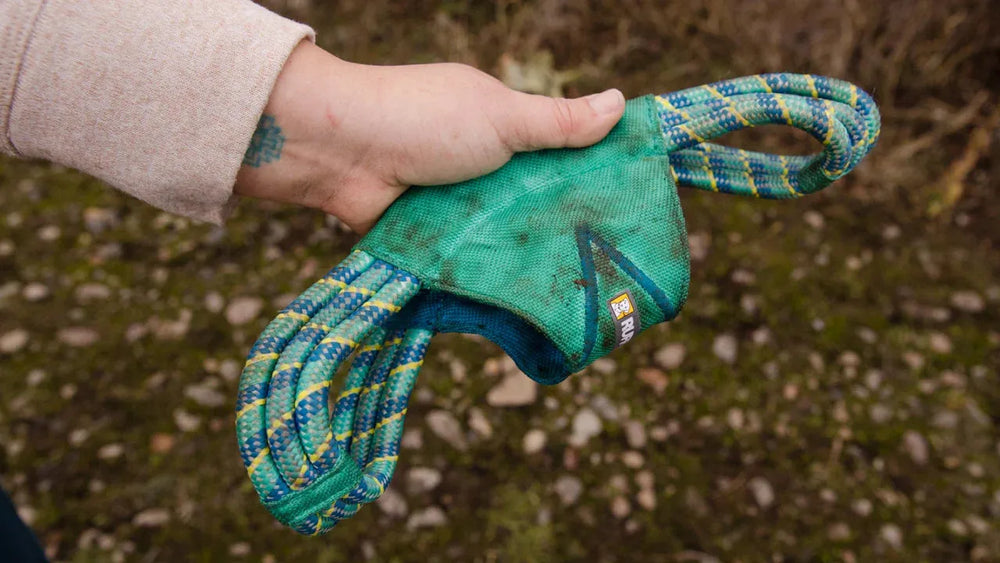"Hand hält grünes und blaues Kletterseil-Spielzeug für Hunde im naturnahen Hintergrund."