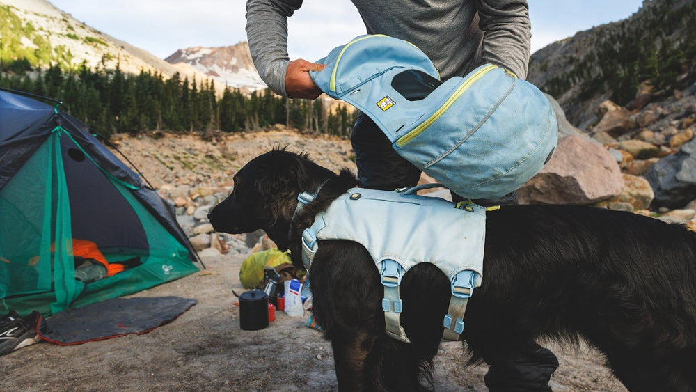 Hund mit blauem Geschirr neben einem Menschen mit blauen Palisades™ Rucksack in der felsigen Natur.