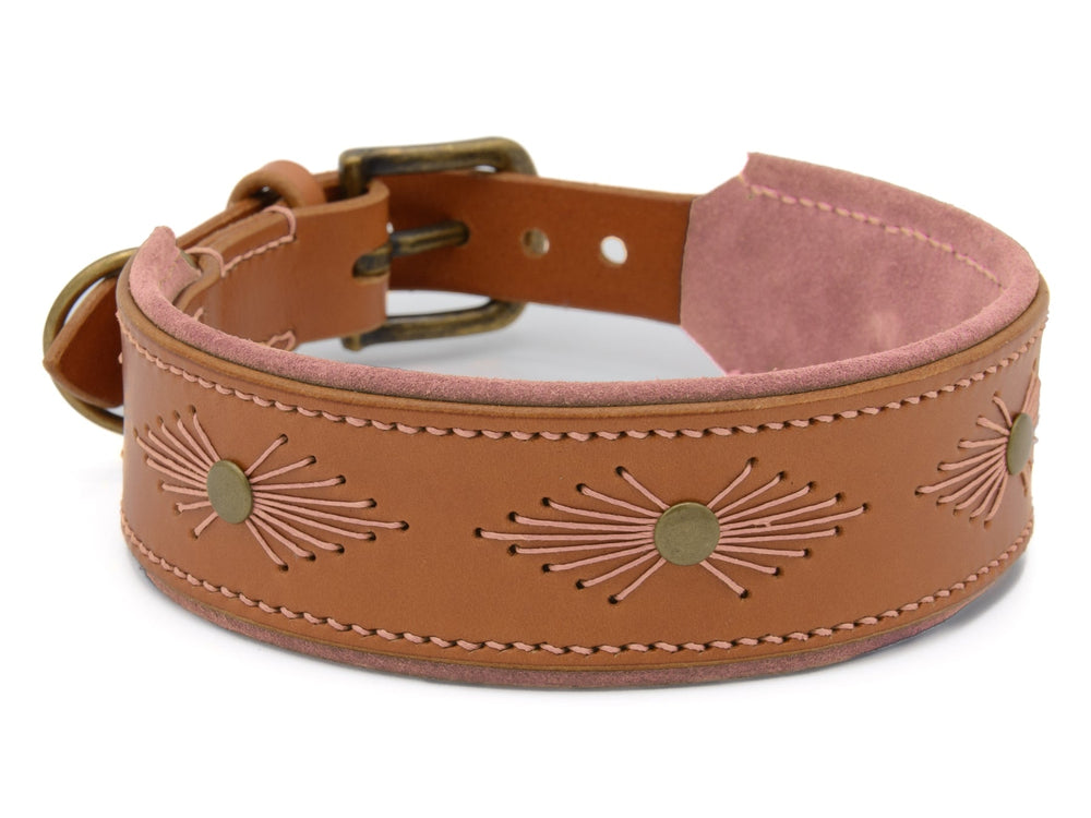 Braunes Lederhundehalsband WOODSTOCK mit Stickerei und dekorativen Metallknöpfen in geschwungenem Design.