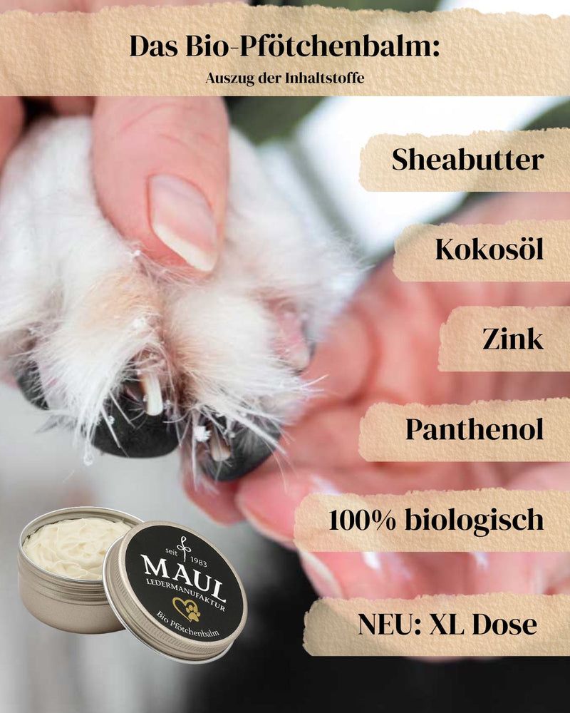 "MAUL Bio Pfotenbalsam in runder Dose, gehalten von einer Hand, mit Zutaten wie Sheabutter und Kokosöl."