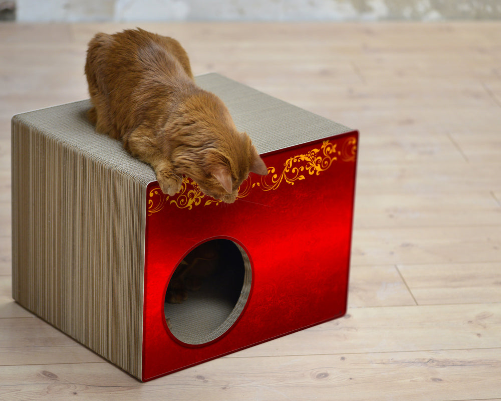 élégance (030) - Bild 4