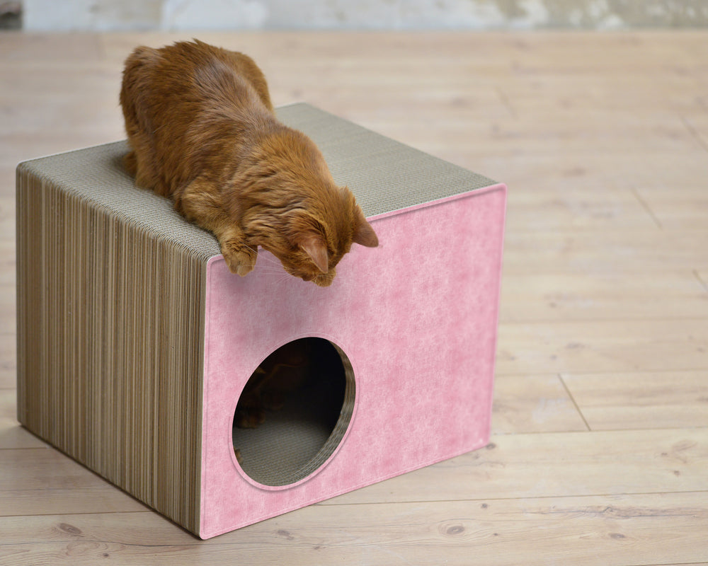 hellrosa (205) - Bild 3