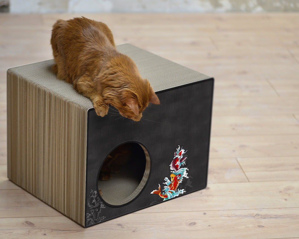 schwarz, Koi (035) - Bild 4