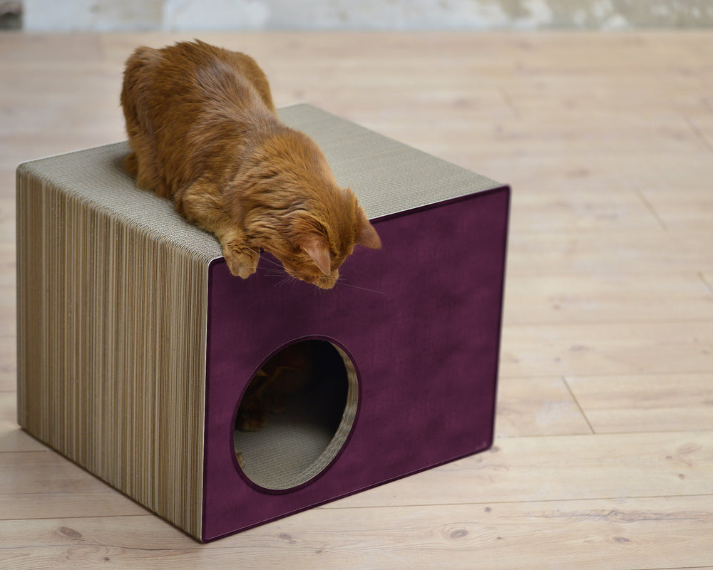 violett (070) - Bild 4