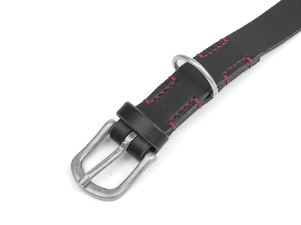 Schwarzes Lederhalsband mit silberner Schnalle und pinken Nähten, ausgestattet mit praktischem Haltering.