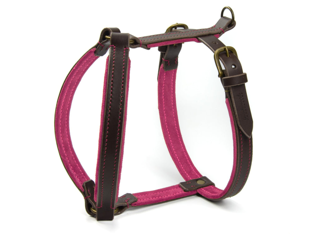 Braunes Ledergeschirr für Hunde mit pinken Elementen, verstellbar und robust für optimalen Komfort und Sicherheit.