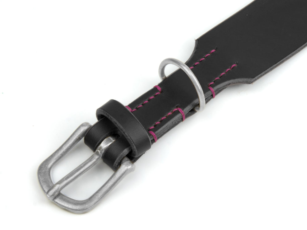 Schwarzes Lederhalsband mit silberner Schnalle und lila Naht, ideal für stilbewusste Haustiere.