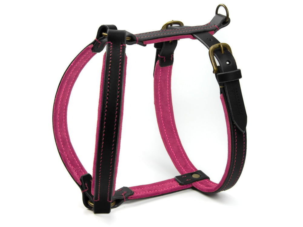 Hundegeschirr WILDFANG aus schwarzem Leder und pinkem Stoff, gepolstert für optimalen Komfort und stilvolles Design.