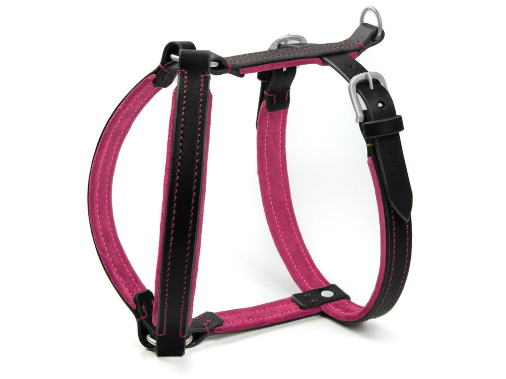 Hundegeschirr WILDFANG aus schwarzem Leder und pinkem Stoff, robust mit Riemen und D-Ringen für die Leinenbefestigung.