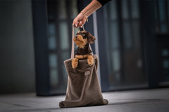 Dackel sitzt neugierig in einer braunen Tragetasche, die weich und bequem ist, ideal für Hundereisen.