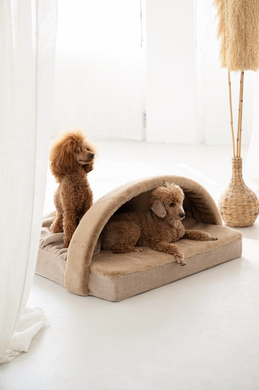 Zwei Hunde entspannen auf einer gepolsterten Liege in einer hellen, freundlichen Relax Höhle.