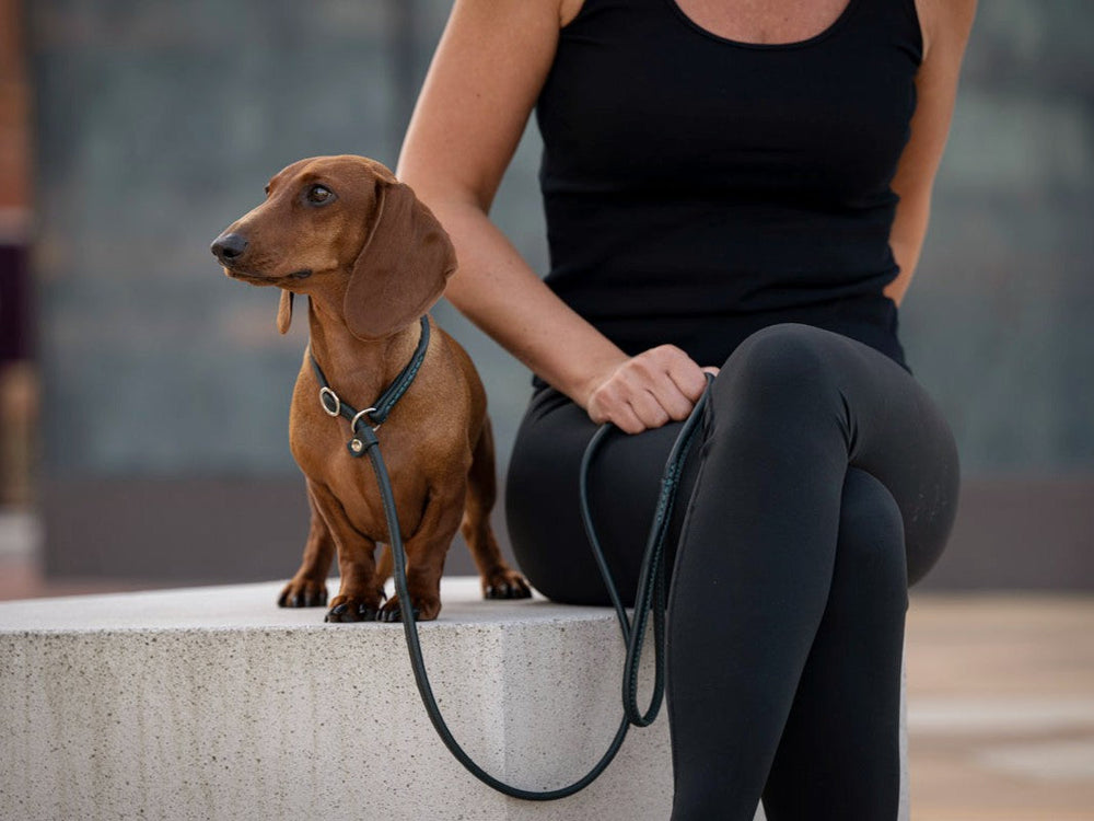 Frau in schwarzem Outfit sitzt auf Betonbank, ihr Dackel schaut aufmerksam nach vorne, Leine in grün.