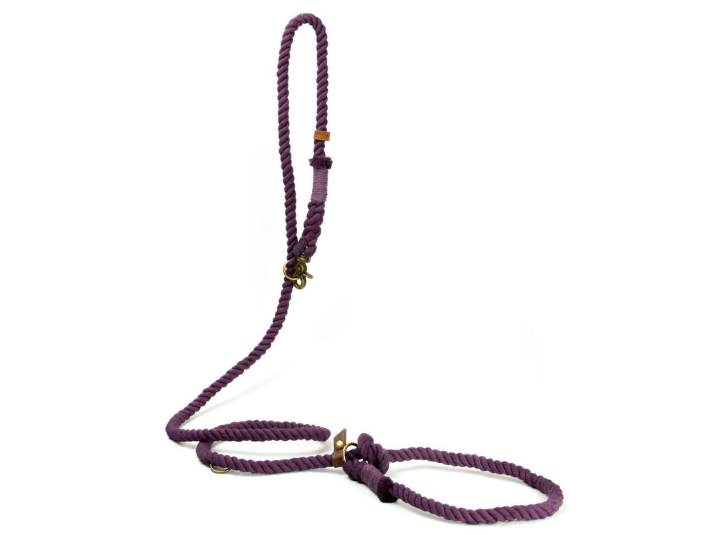 Stylische lila Hundeleine 'Ahoi' aus geflochtenem Material mit Halsring und edlen Details. Ideal für Retriever.