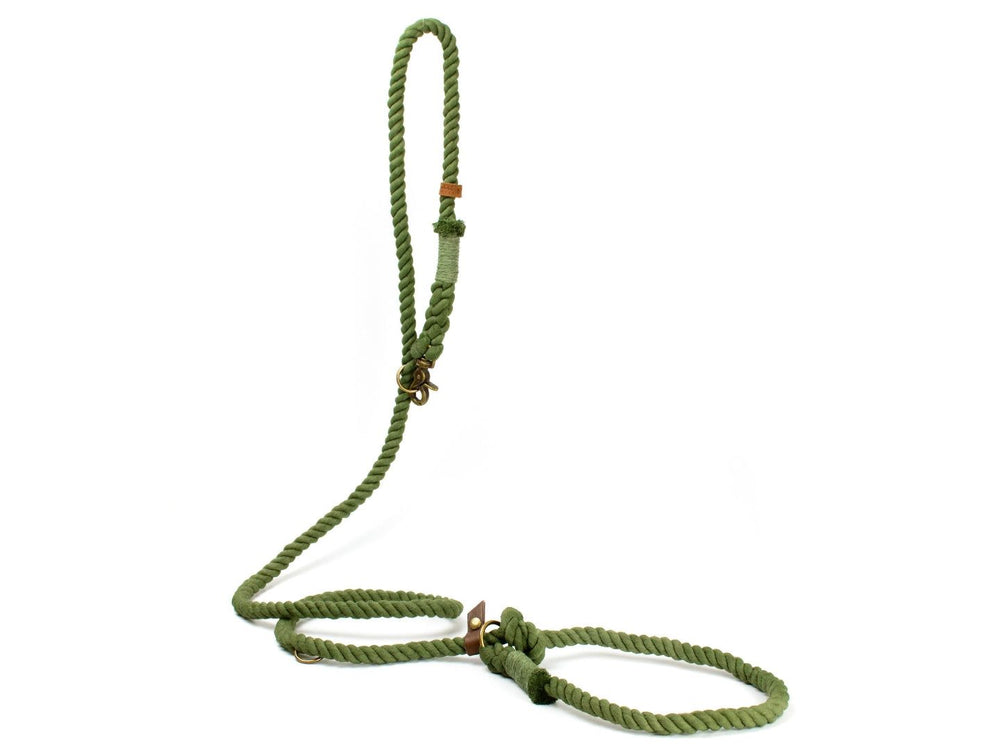 Robuste grüne Hundeleine 'Ahoi' aus geflochtenem Material mit Schlaufe und Karabinerhaken. Ideal für aktive Hunde.