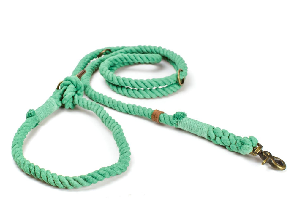 Grüne geflochtene Hundeleine 'Ahoi' Mint mit praktischem Griff und Karabinerhaken für Geschirr oder Halsband.