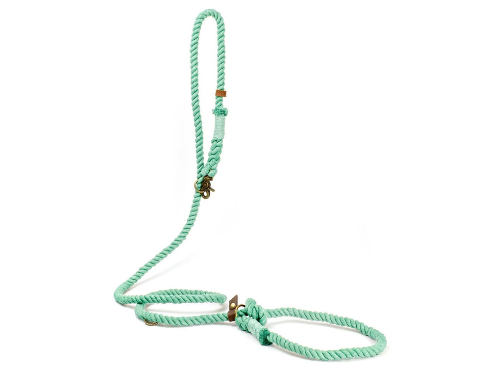 Mintgrüne Retrieverleine aus geflochtenem Material mit Griffschlaufe und zusätzlicher Schlaufe für Halsband.