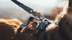 Ridgeline™ Dog Leash