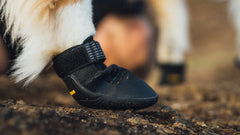 Ridgeline™ Footwear