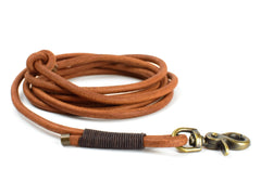 Braune Leder-Schleppleine mit bronzefarbenem Karabinerhaken und schwarzem Detail, ideal für Hundeausflüge.